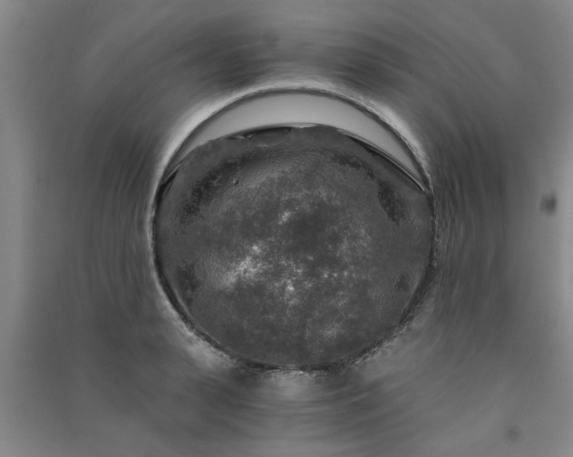 X0000091360943200708171521