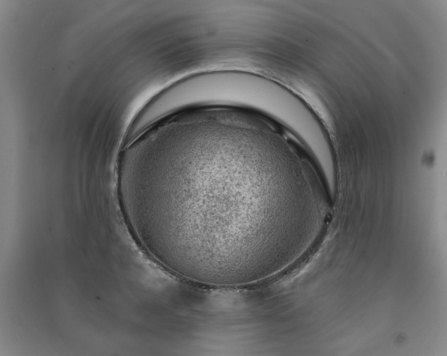 X0000091360944200708171521