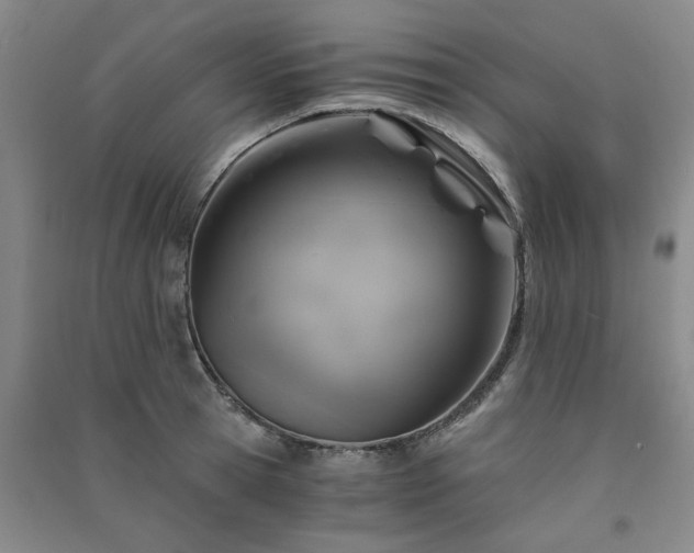 X0000091360945200708171521
