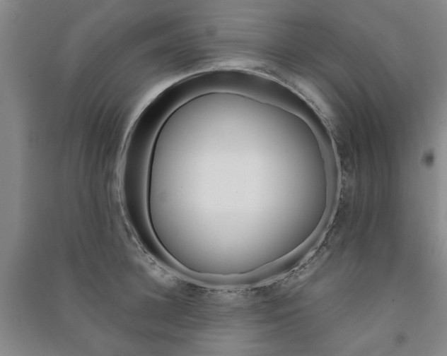 X0000091360948200708171521