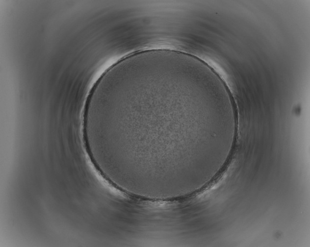 X0000091360949200708171521
