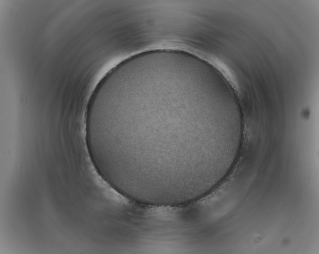 X0000091360950200708171521