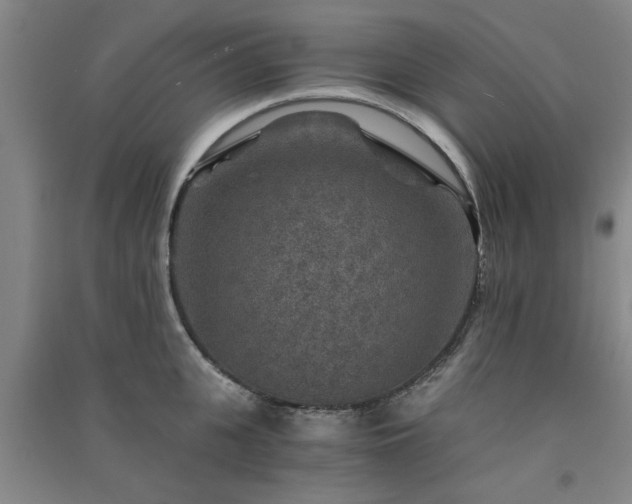 X0000091360951200708171521