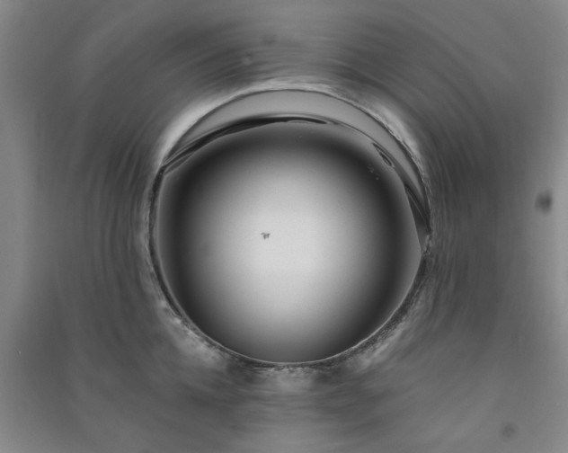 X0000091360952200708171521