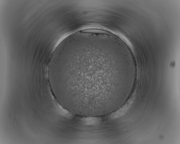 X0000091360953200708171521
