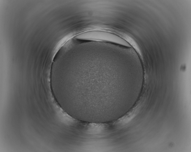 X0000091360954200708171521
