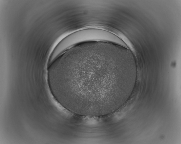 X0000091360955200708171521