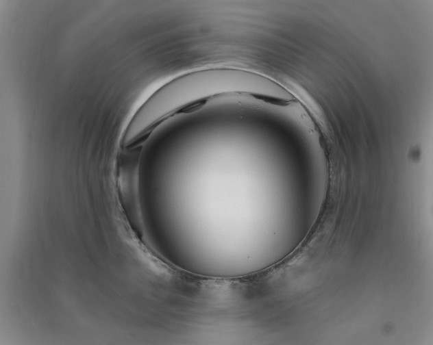 X0000091360956200708171521