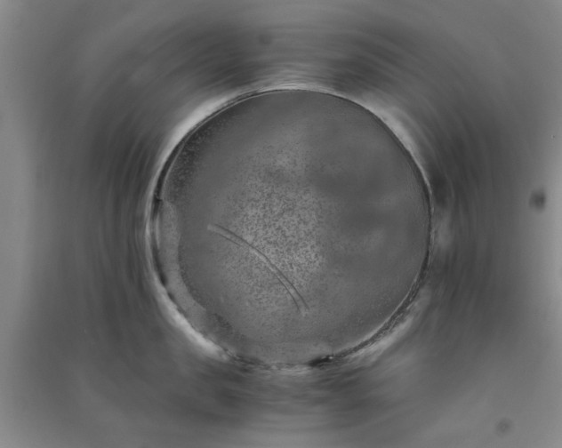 X0000091360957200708171521