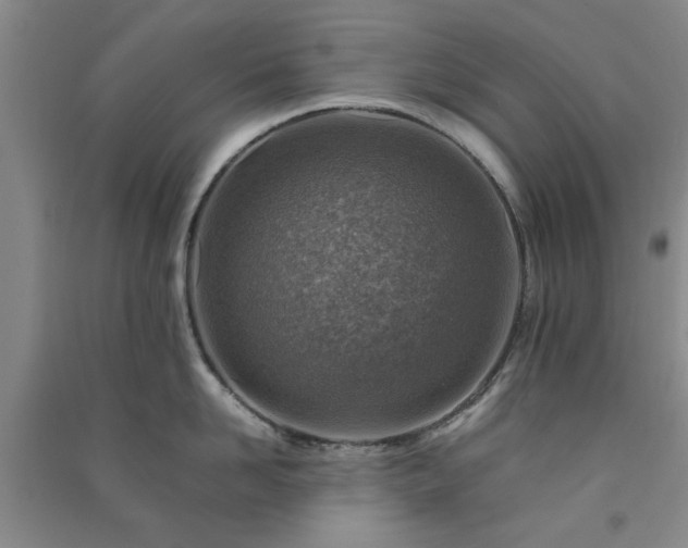 X0000091360958200708171521