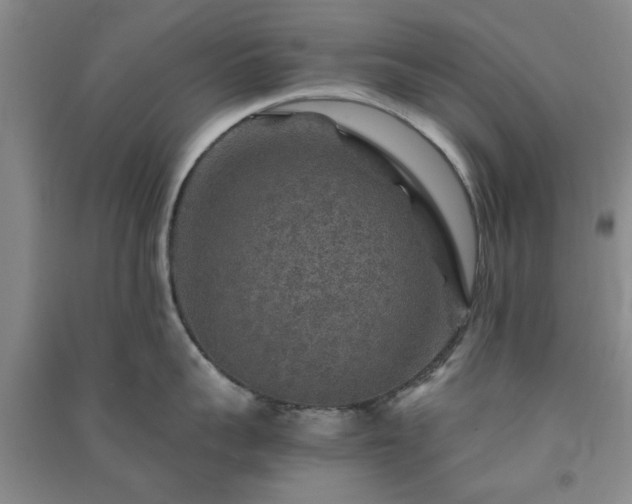 X0000091360959200708171521