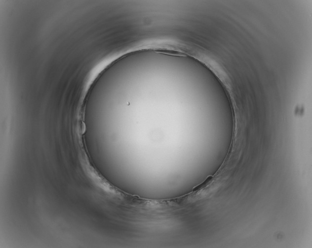 X0000091360960200708171521