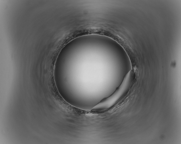X0000091360961200708171520