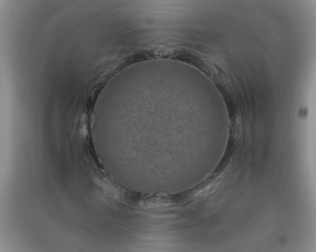 X0000091360962200708171520