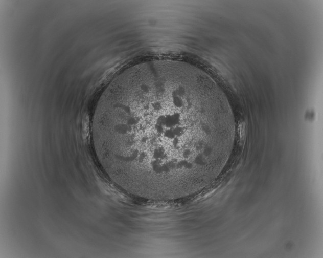 X0000091360963200708171520