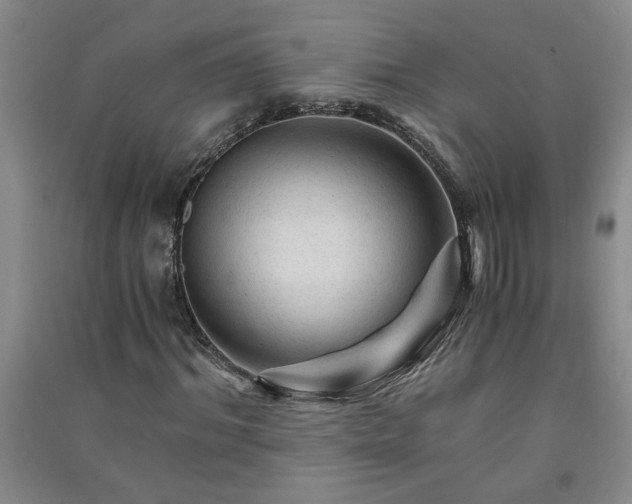 X0000091360964200708171520
