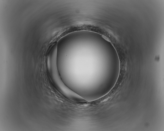 X0000091360965200708171520