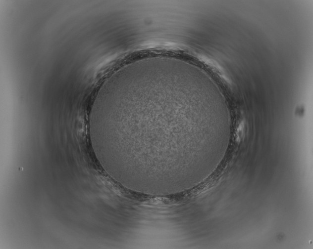 X0000091360966200708171520