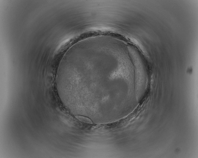 X0000091360967200708171520