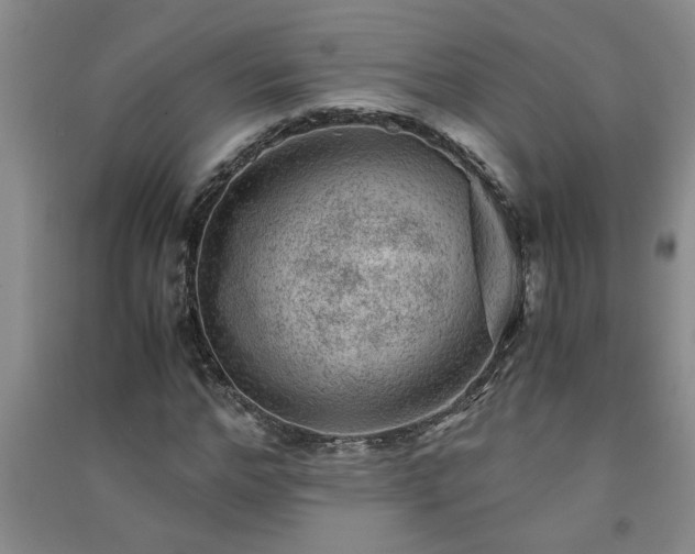 X0000091360968200708171520