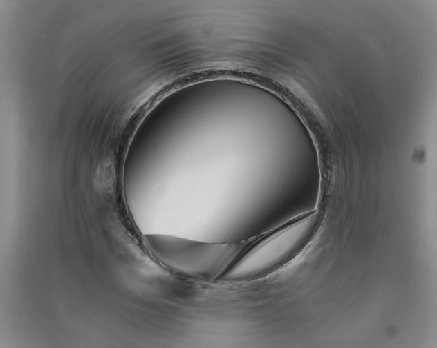 X0000091360969200708171520