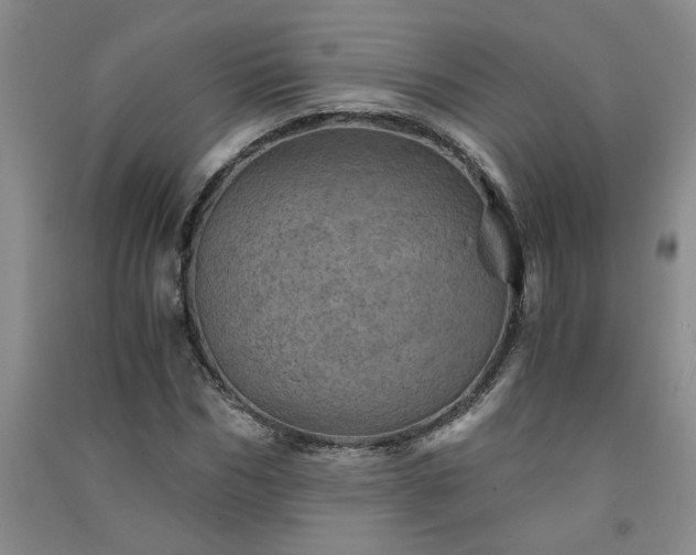 X0000091360970200708171520