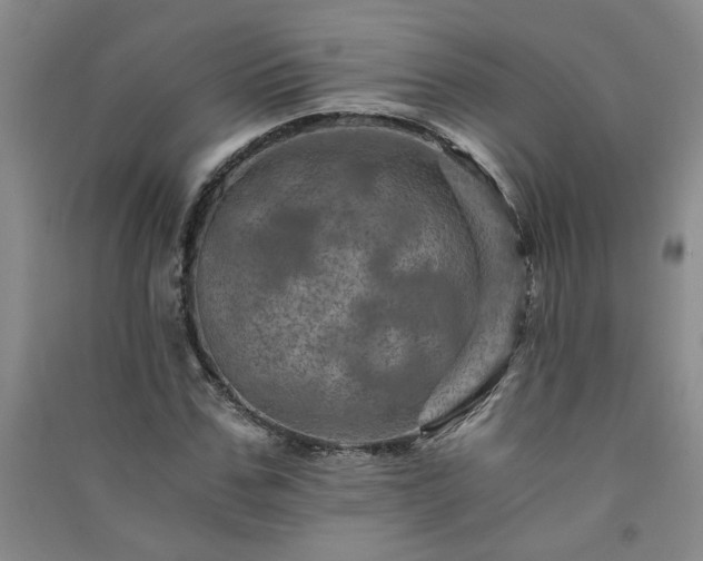 X0000091360971200708171520