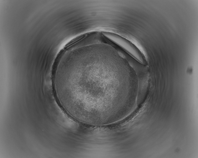 X0000091360972200708171520