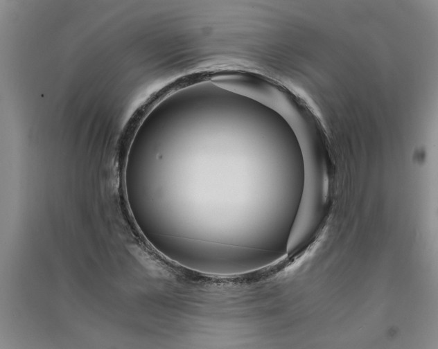 X0000091360973200708171520