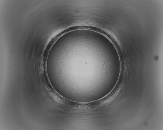 X0000091360974200708171520