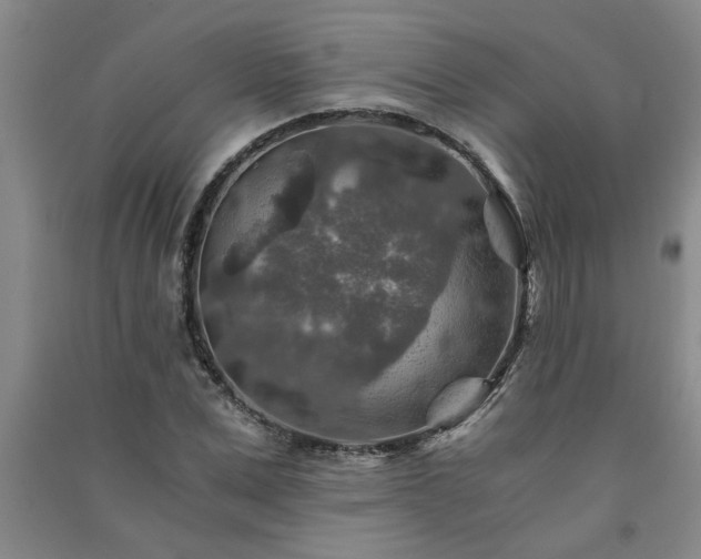 X0000091360975200708171520