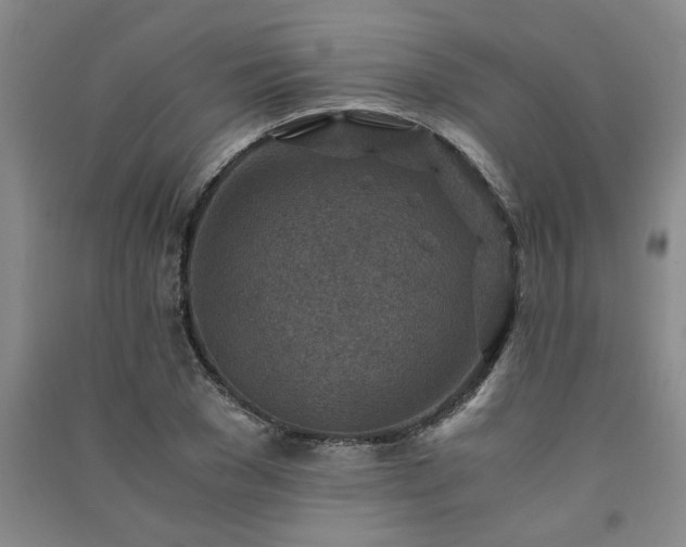 X0000091360977200708171520