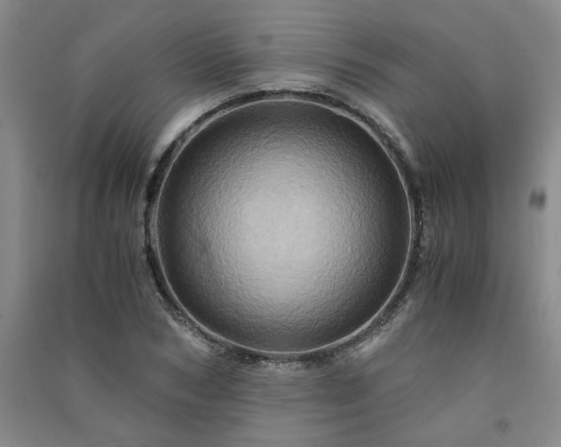 X0000091360978200708171520