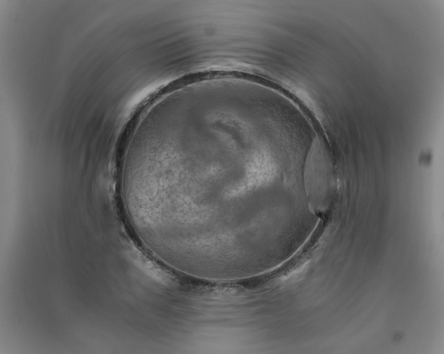 X0000091360979200708171520