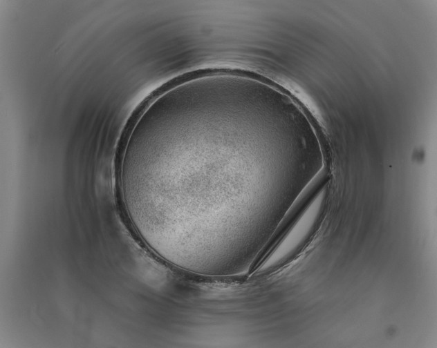 X0000091360980200708171520
