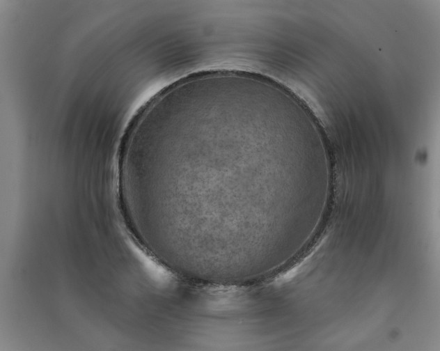 X0000091360982200708171520