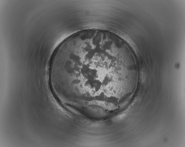 X0000091360983200708171520