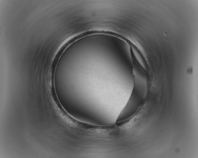X0000091360984200708171520
