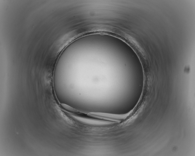 X0000091360985200708171520