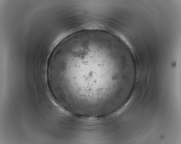 X0000091360986200708171520