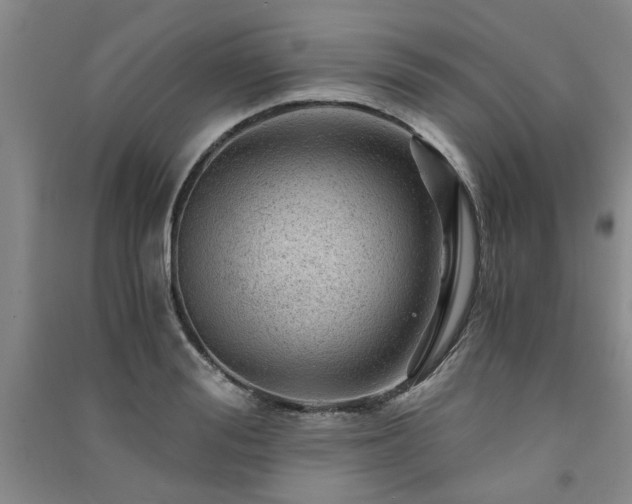 X0000091360988200708171520
