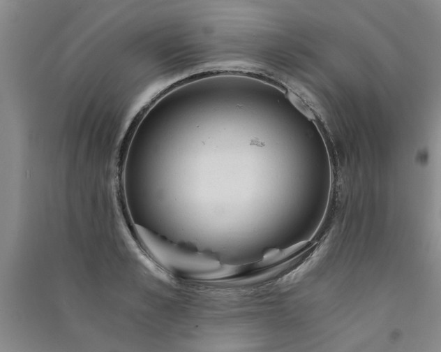 X0000091360989200708171520