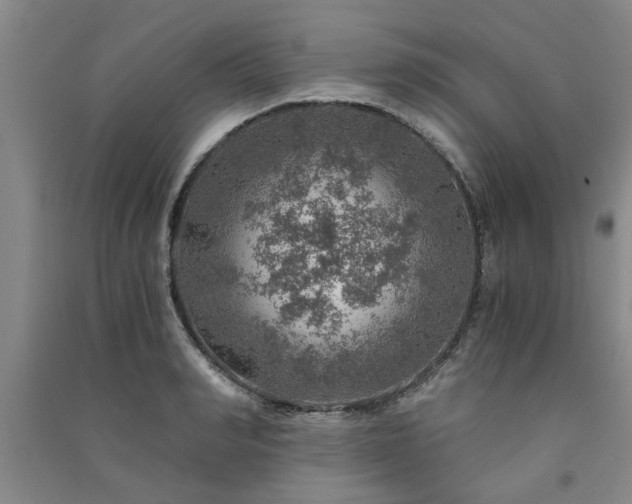 X0000091360990200708171520
