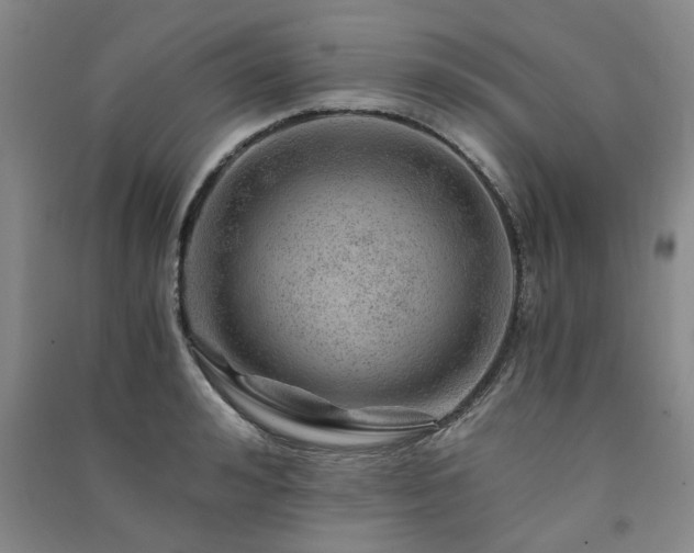 X0000091360992200708171520