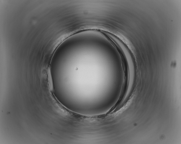 X0000091360993200708171520