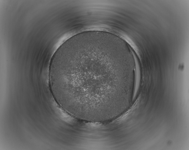 X0000091360994200708171520