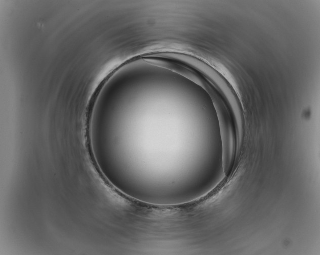 X0000091360997200708171520