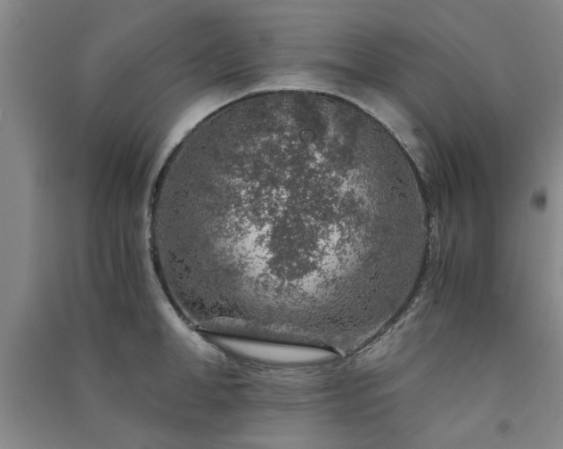 X0000091360998200708171520