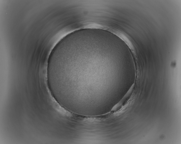 X0000091361000200708171520