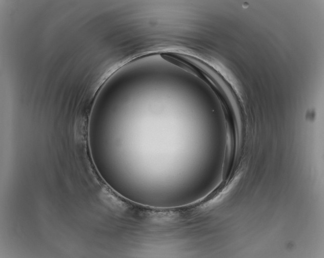 X0000091361001200708171520